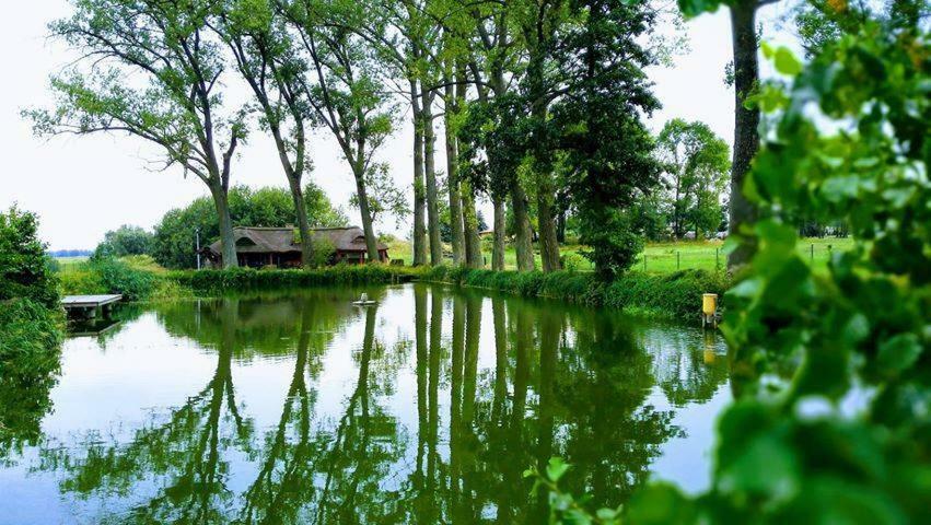 Leśna Podlaska Hotel&Spa Dwor Droblin מראה חיצוני תמונה